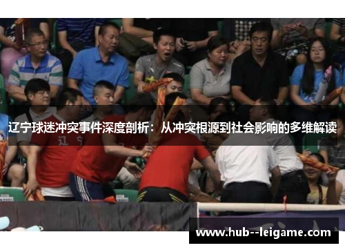 辽宁球迷冲突事件深度剖析：从冲突根源到社会影响的多维解读